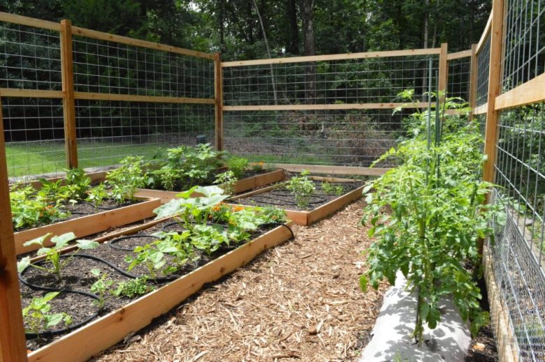Why Use a Raised Bed Garden Maximizing Your Garden's Potential