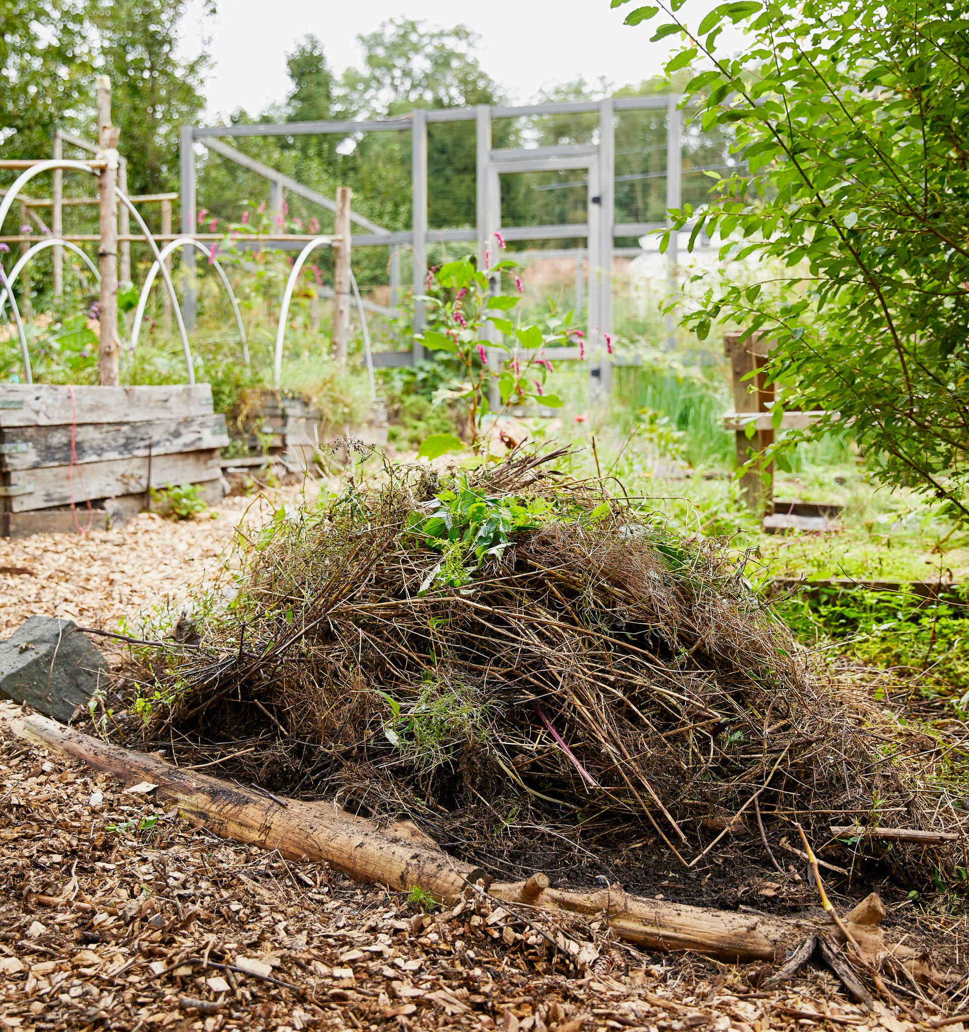 How To Add Compost To An Existing Garden: A Step-by-Step Guide ...